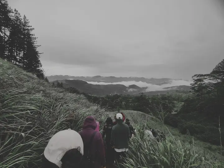 A misty hike with the batch