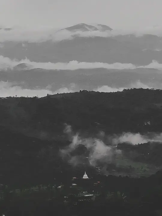 A misty hike with the batch