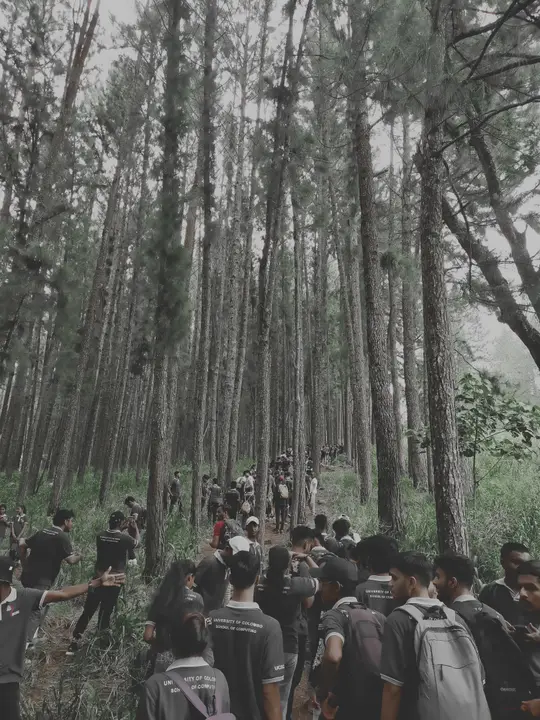 A misty hike with the batch