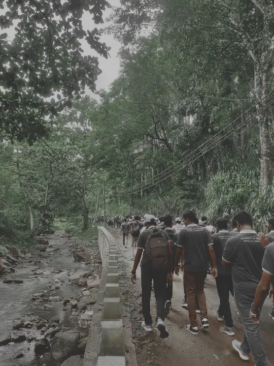 A misty hike with the batch
